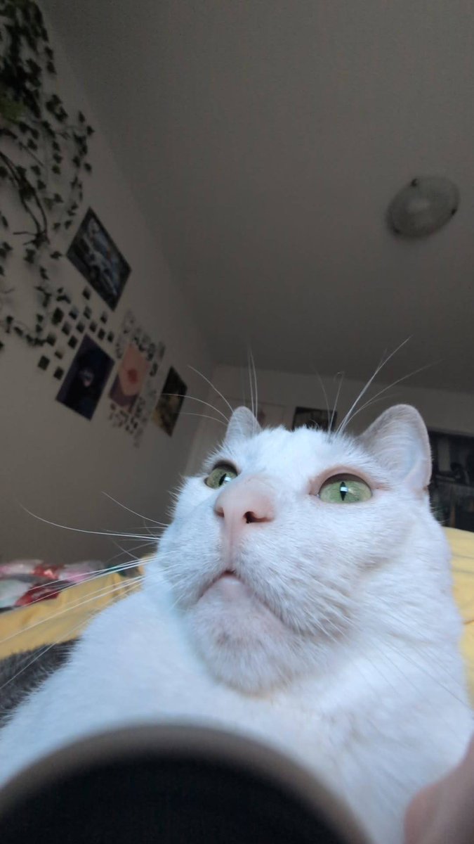 sometimes eos tweet media