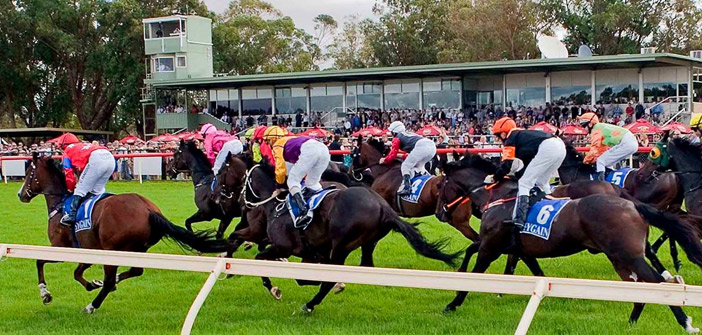 OzRace.com.au tweet media
