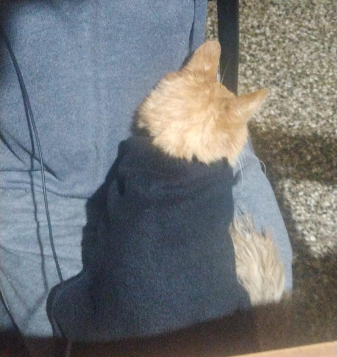 plant(ae)🌱 tweet media