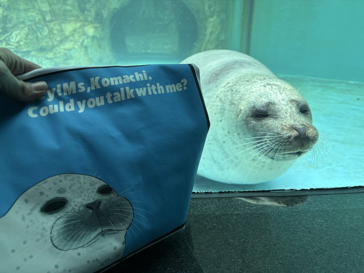 アザラーに転生して各地の水族館動物園行脚してるんですが、アザラシのTシャツ作って会いに行ったりしててDオタ時代とやってること変わってない…