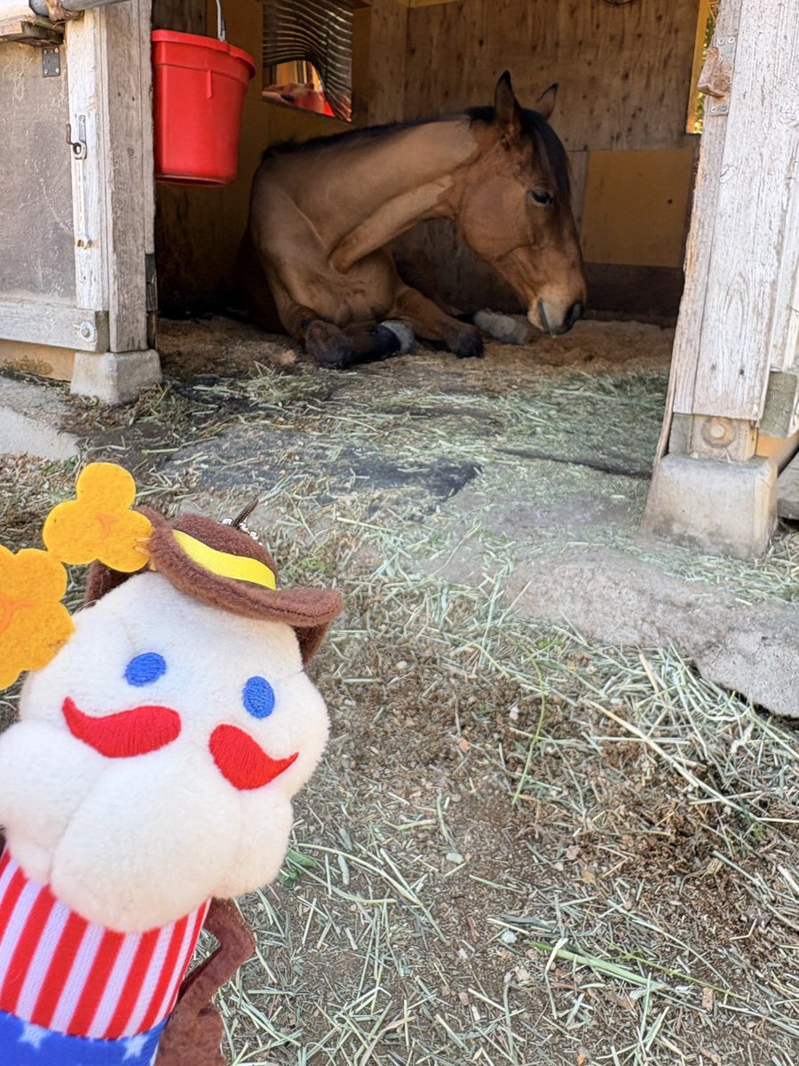 ポップコーンパパ【公式】 tweet media