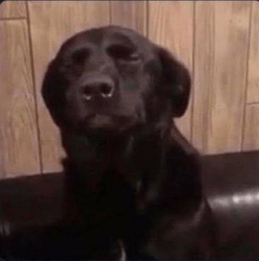 Gelito🥀 tweet media