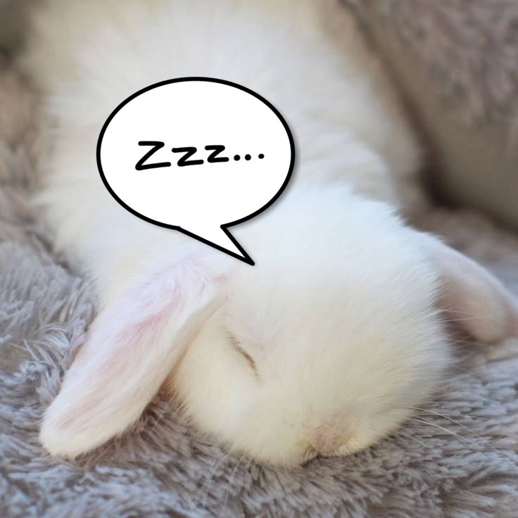 ໒꒰ྀི´ ˘ ` ꒱ྀིა tweet media