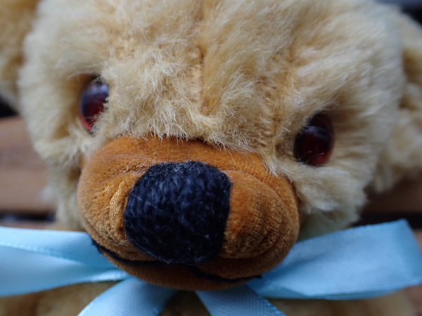 インテリア雑貨のキャリコ tweet media