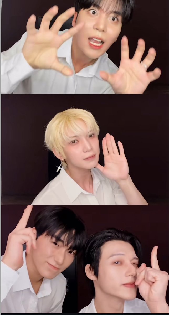 💥🐥⸒⸒ tweet media