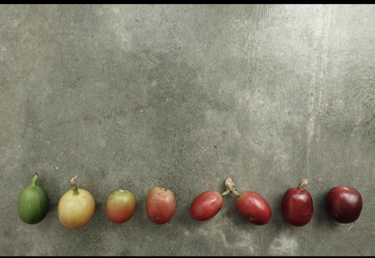 FAHAD ALJURAIB tweet media