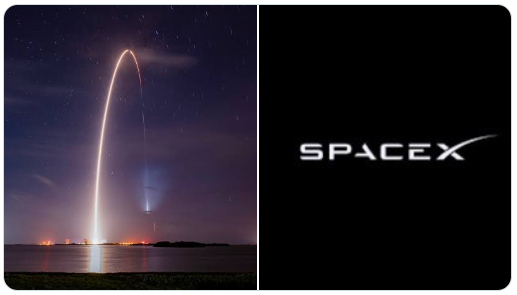 TeslaZoa tweet media