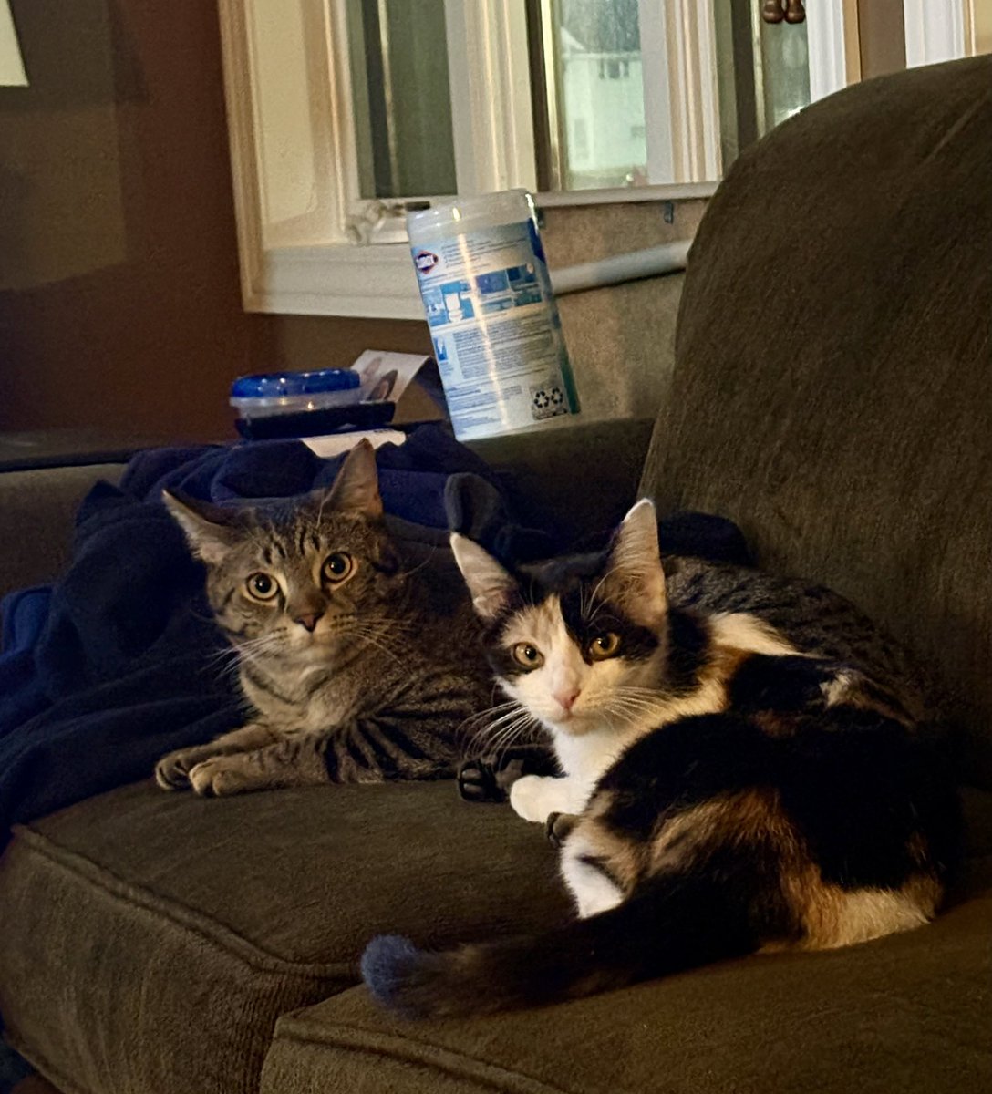 Fr. Joseph Krupp tweet media