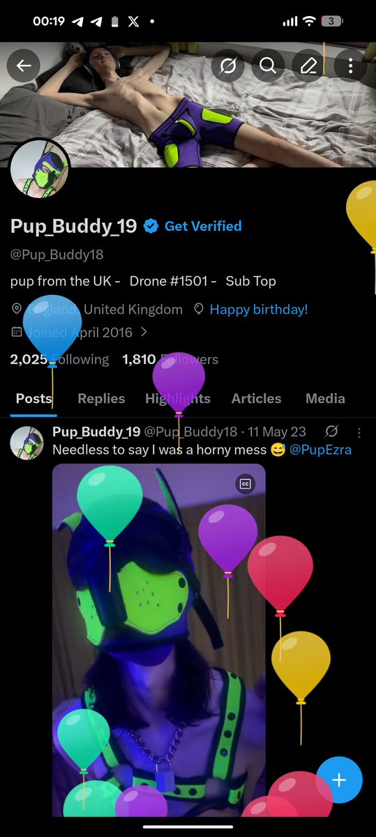 Pup_Buddy_19 tweet media