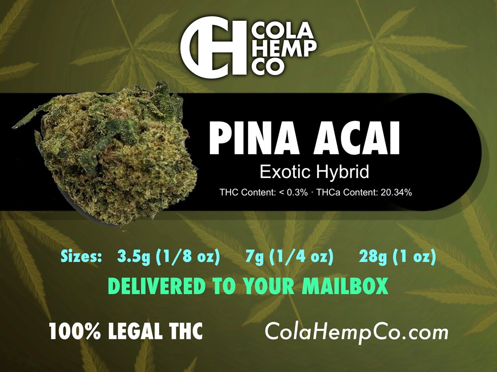 Pina Acai THCa Flower

Aroma is a tropical delight of fruity berry and sweet tropical notes, perfect for a  flavorful experience.

Federally Legal and delivered to your door US only 21+ only (age verified at checkout) 

Get Some now (while supplies last) 
colahempco.com/product/pina-a…