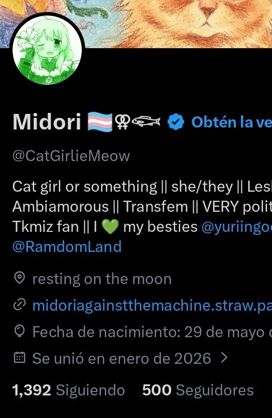 Midori 🏳️‍⚧️⚢𓆟 tweet media