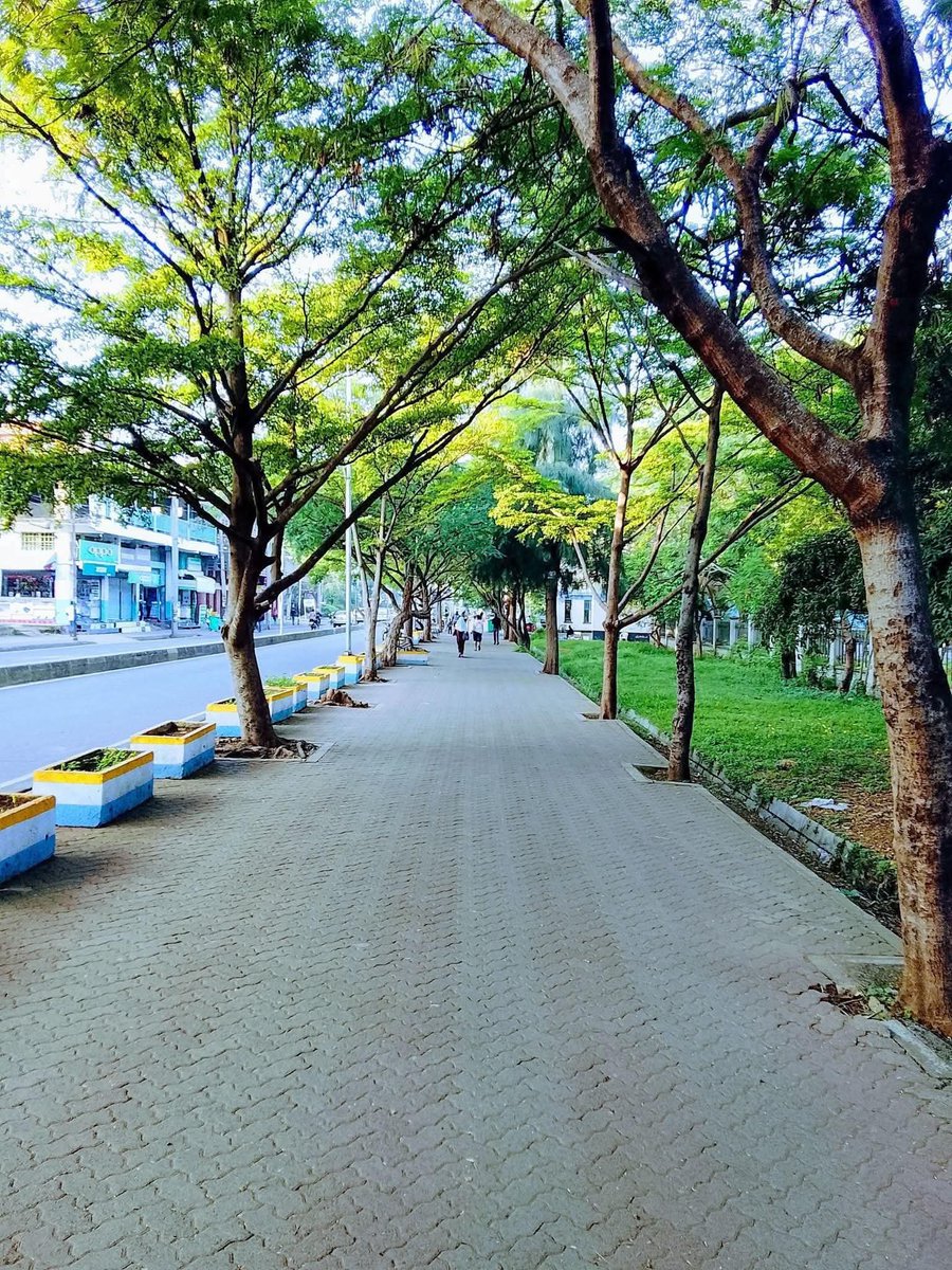 Adel On Politics tweet media