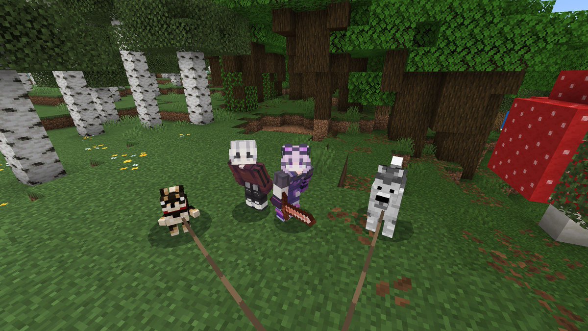 ちゃむねこ tweet media