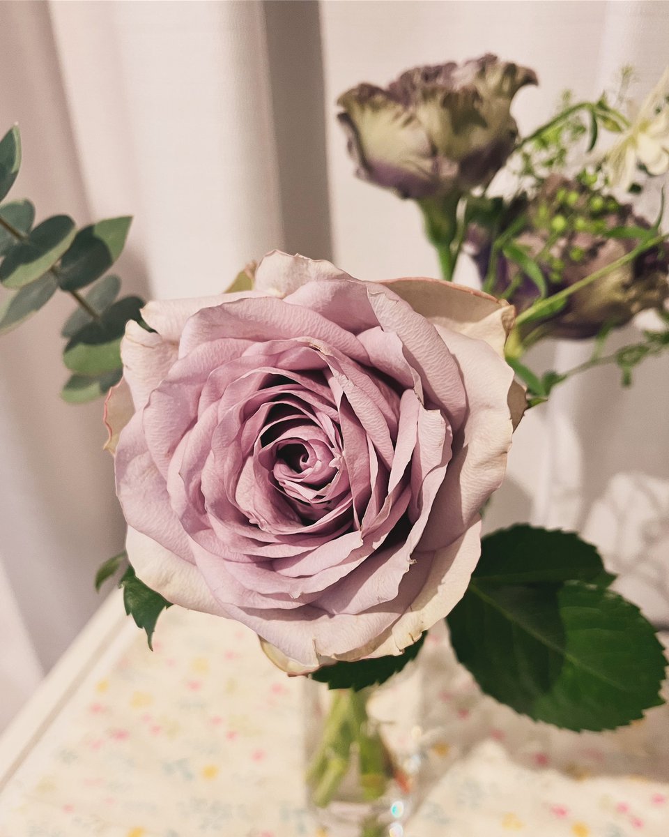 木村珠莉 tweet media