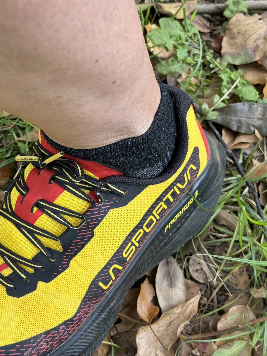 自由人 | Trailrunning x 企業投資 x 経営者の交差点で生きる tweet media