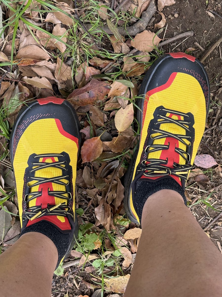 自由人 | Trailrunning x 企業投資 x 経営者の交差点で生きる tweet media