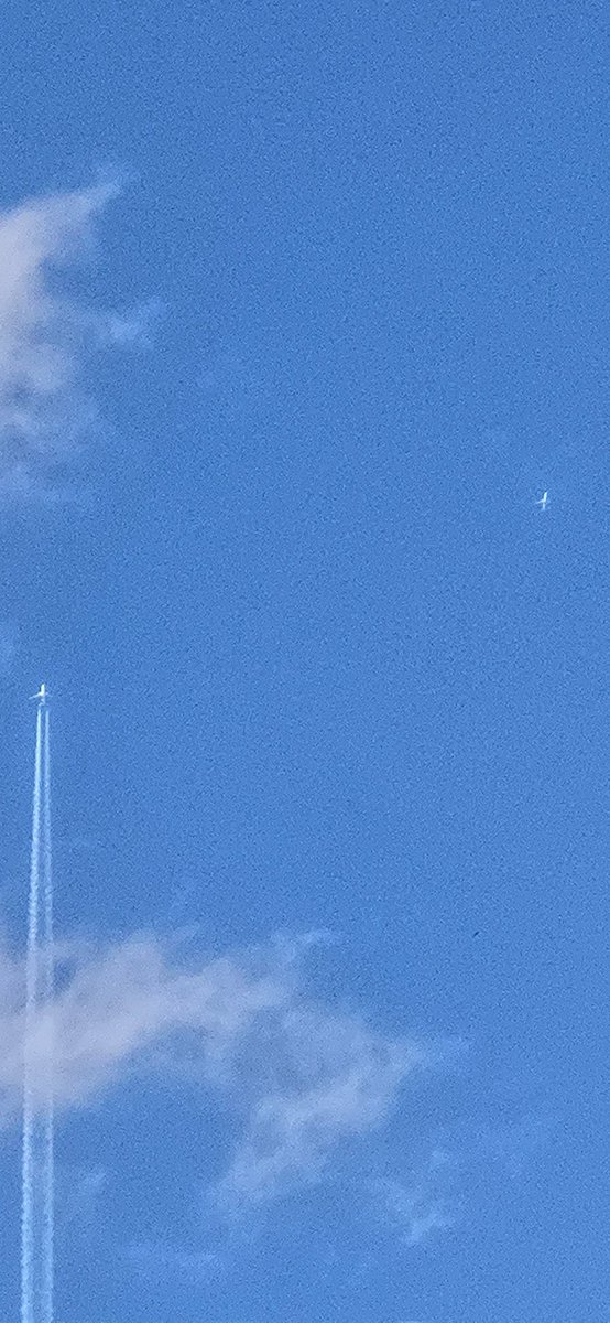 BambooViper0331's tweet image. Can you spot the one #poisoning
#Chemtrails
Killing Us @realDonaldTrump @RealJamesWoods