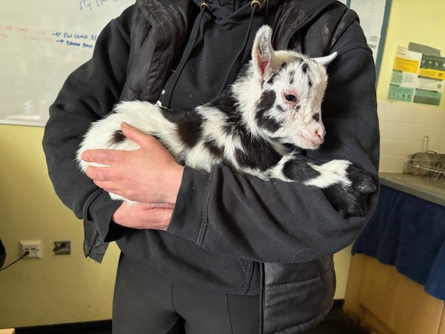 Sussex News - Breaking news for Sussex tweet media