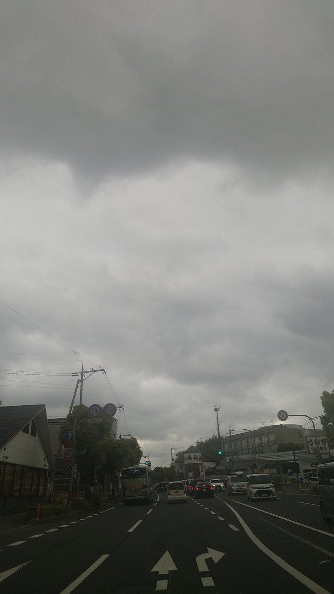 SOO -ソマル- 【公式】京都でしか買えないお土産「おふき」 tweet media