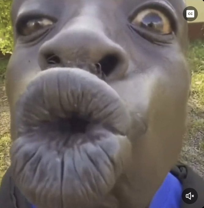 Mick Spic tweet media