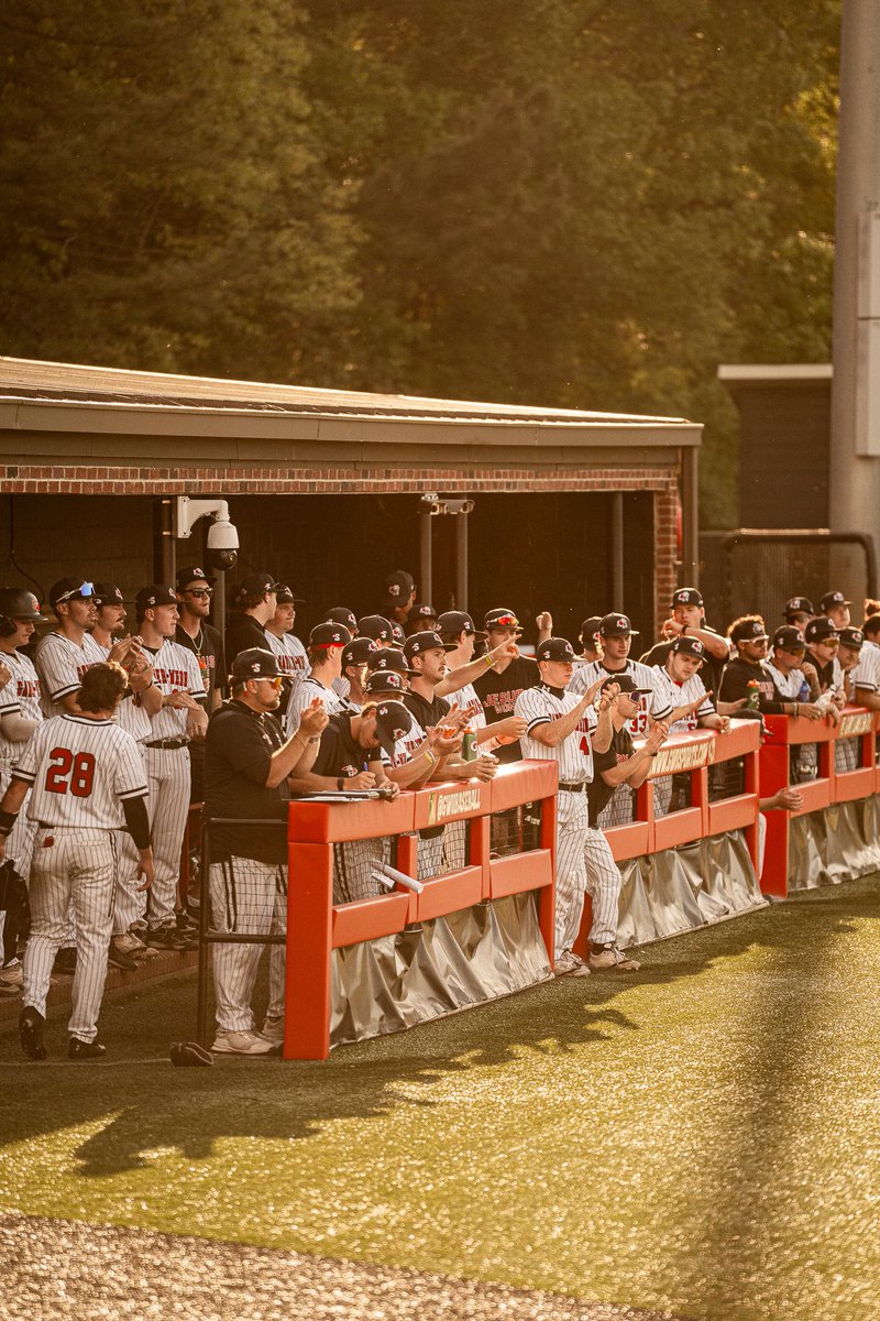 Gardner-Webb Baseball tweet media