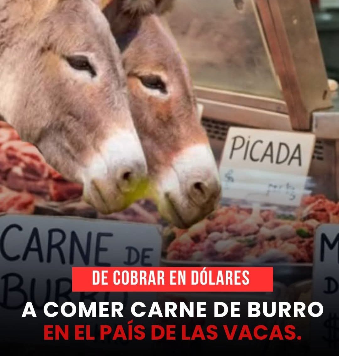 DANIEL ARINI tweet media