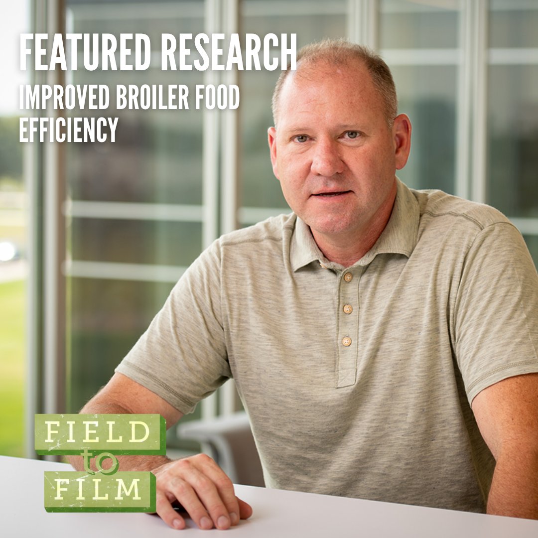 arkansassoybean's tweet image. Soy-based feed is improving poultry performance and efficiency.

Research from Dr. Michael Kidd at the University of Arkansas is identifying traits that drive better growth and long-term sustainability.

Learn more ➡️ pulse.ly/tzdcuff5dh

#ArkansasSoybeans #AgResearch