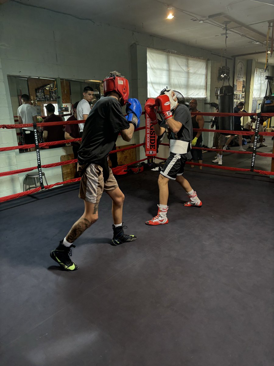Davis Boxing Club tweet media