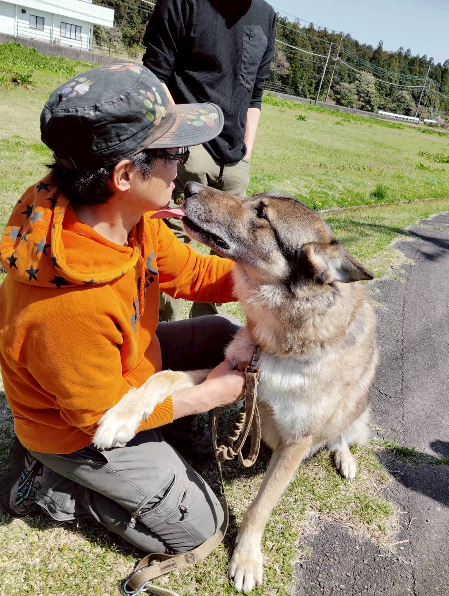 九条さんとオイラ。
なんかオイラカッコいいじゃんと長女に言ったら、
「それは九条さんがカッコいいからでは？」
そうだね、。
#九条　#狼犬