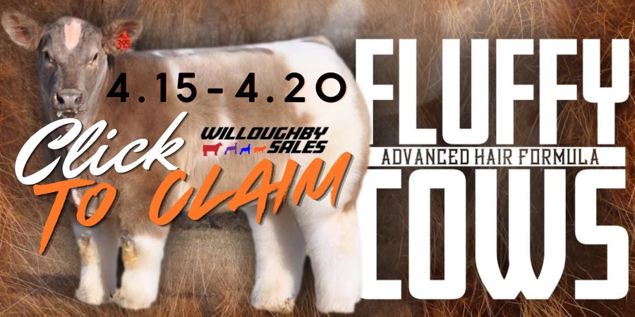 mattlautner's tweet image. #MLC #FluffyCows #WilloughbySales 

Click To View Sale Site:
wlivestock.com/auction/33141

#Click2Claim #Oklahoma #SaleWeek