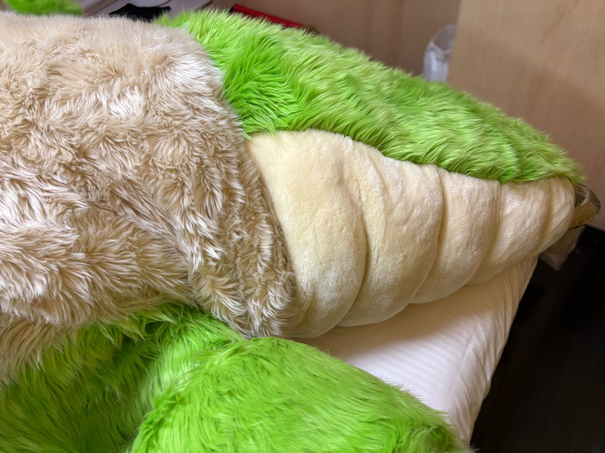 ソイドラ/soydra🐉🐾⏸️夢もふ8 tweet media