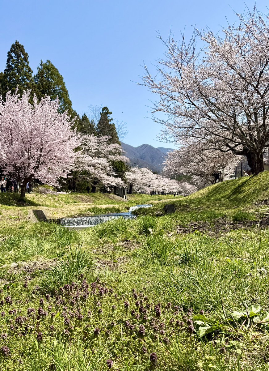 たまご tweet media