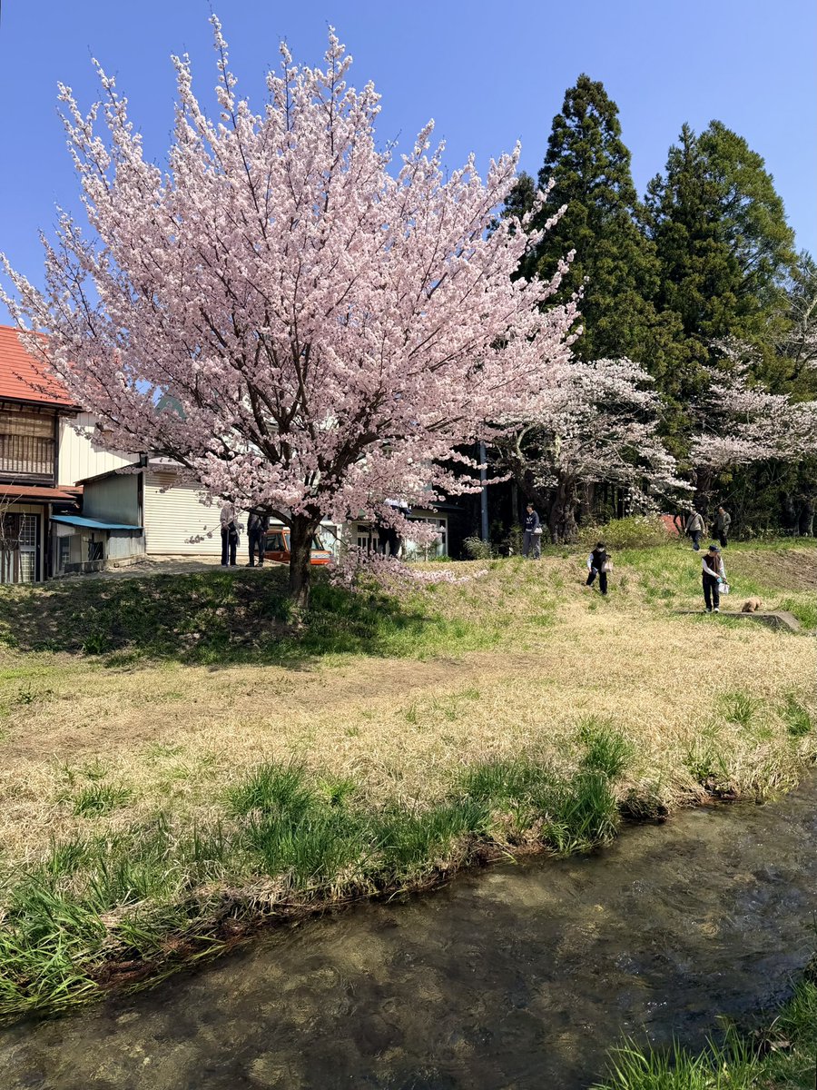 たまご tweet media