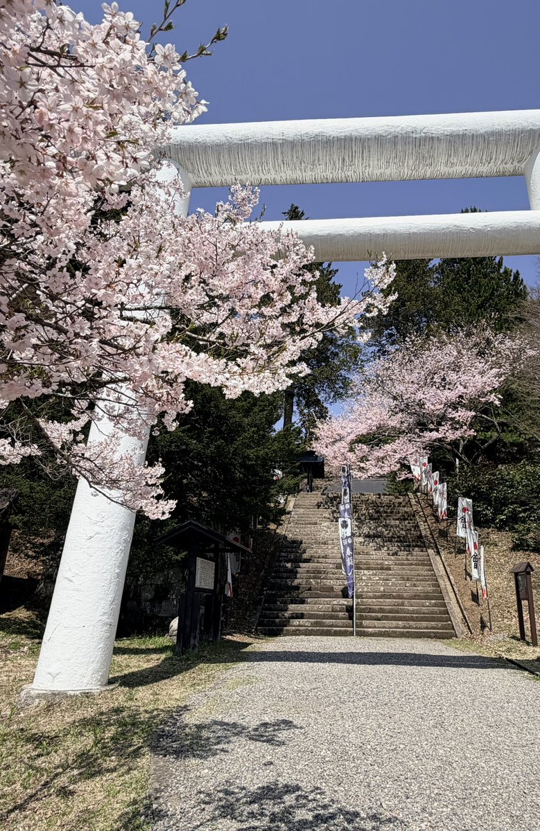 たまご tweet media