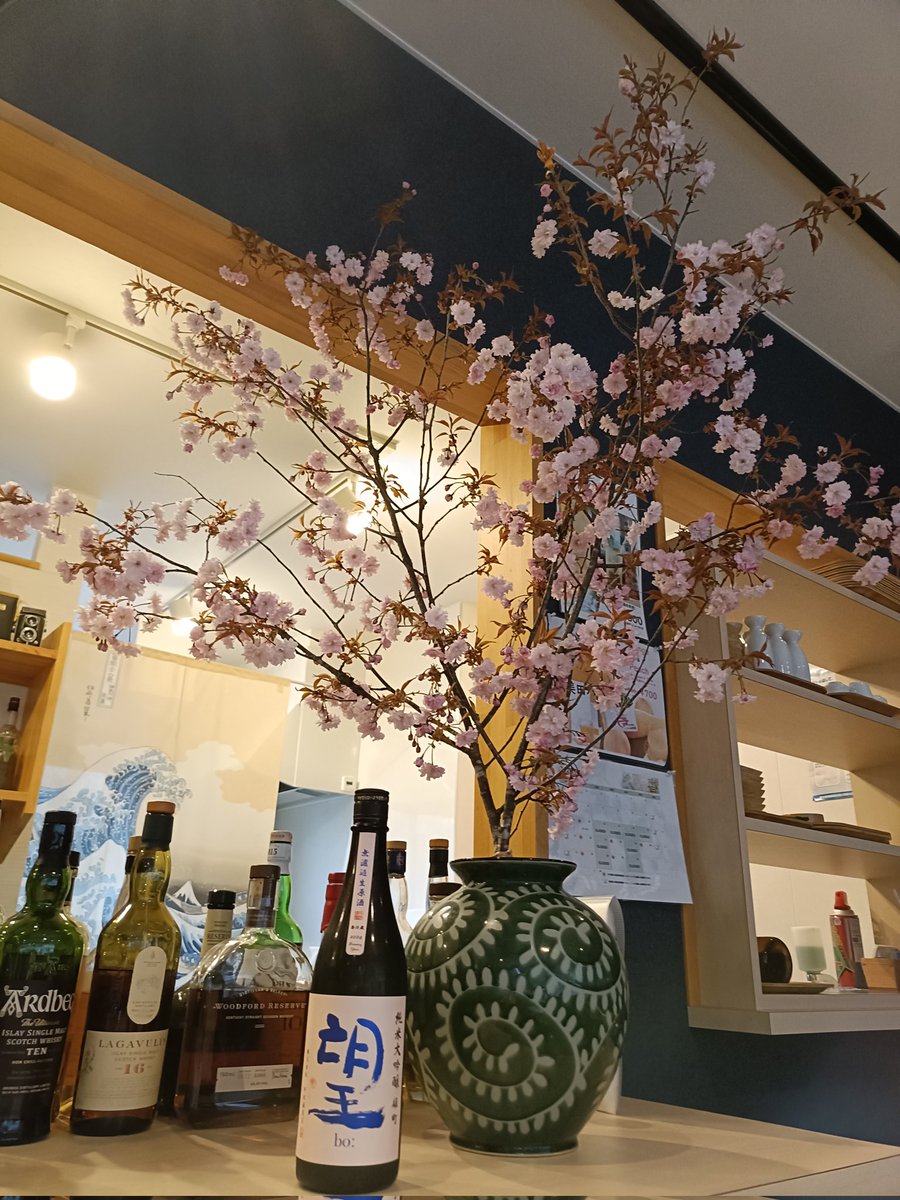 Lab250sc's tweet photo. また新しい桜を頂戴致しました🌸
日光紅姫桜💡本日はお休み予定でしたが都合がついたので15:30から短縮営業致します。花見酒できます🍶よろしくお願いします☺ https://t.co/Fdb2p1GZ31