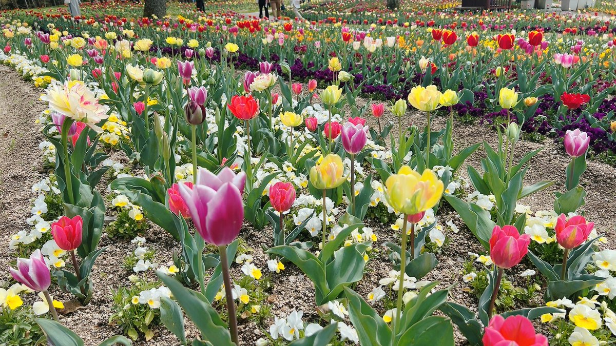 おはようございます☁️

昨日はIT機器と戦った一日でした！
ちょっとずつ慣れていきたいと思います

今日も楽しんで頑張ります
╰(*´︶`*)╯♡