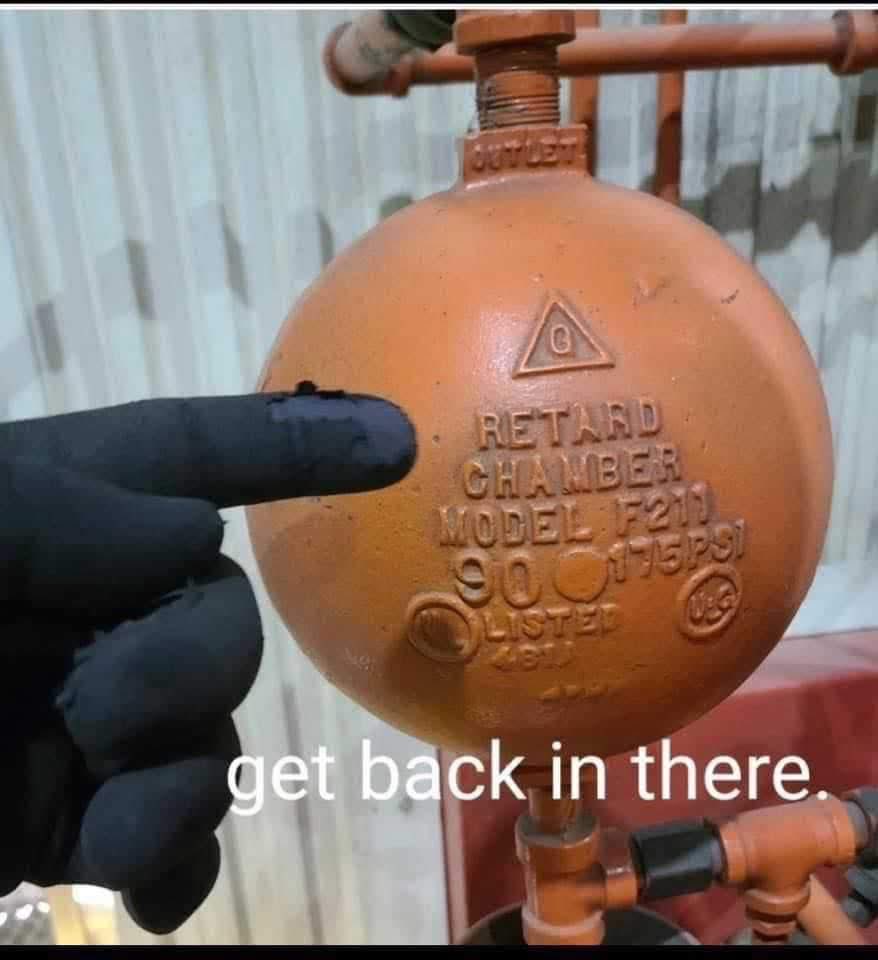 Political Physicist tweet media