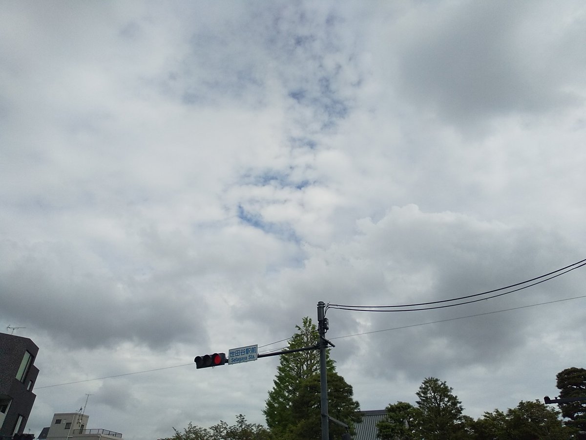 ysb_'s tweet image. 水曜日～

青空覗く曇り空～

温暖～

本日も楽しくなりそうれす～

20260415～

 #世田谷 #世田谷区 #setagaya