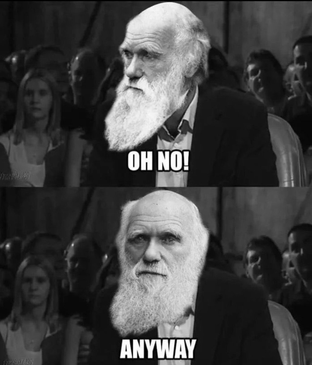 Stoic Valkyrie tweet media