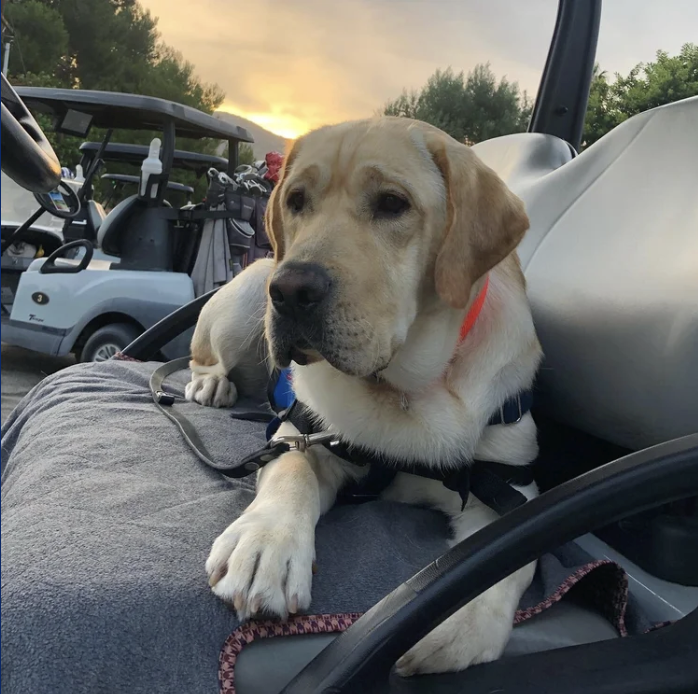 Endeavor Bank tweet media