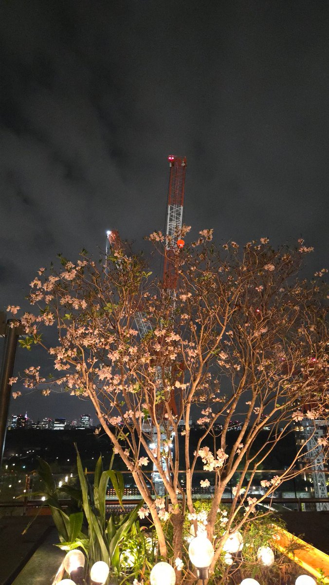 井村　守 tweet media