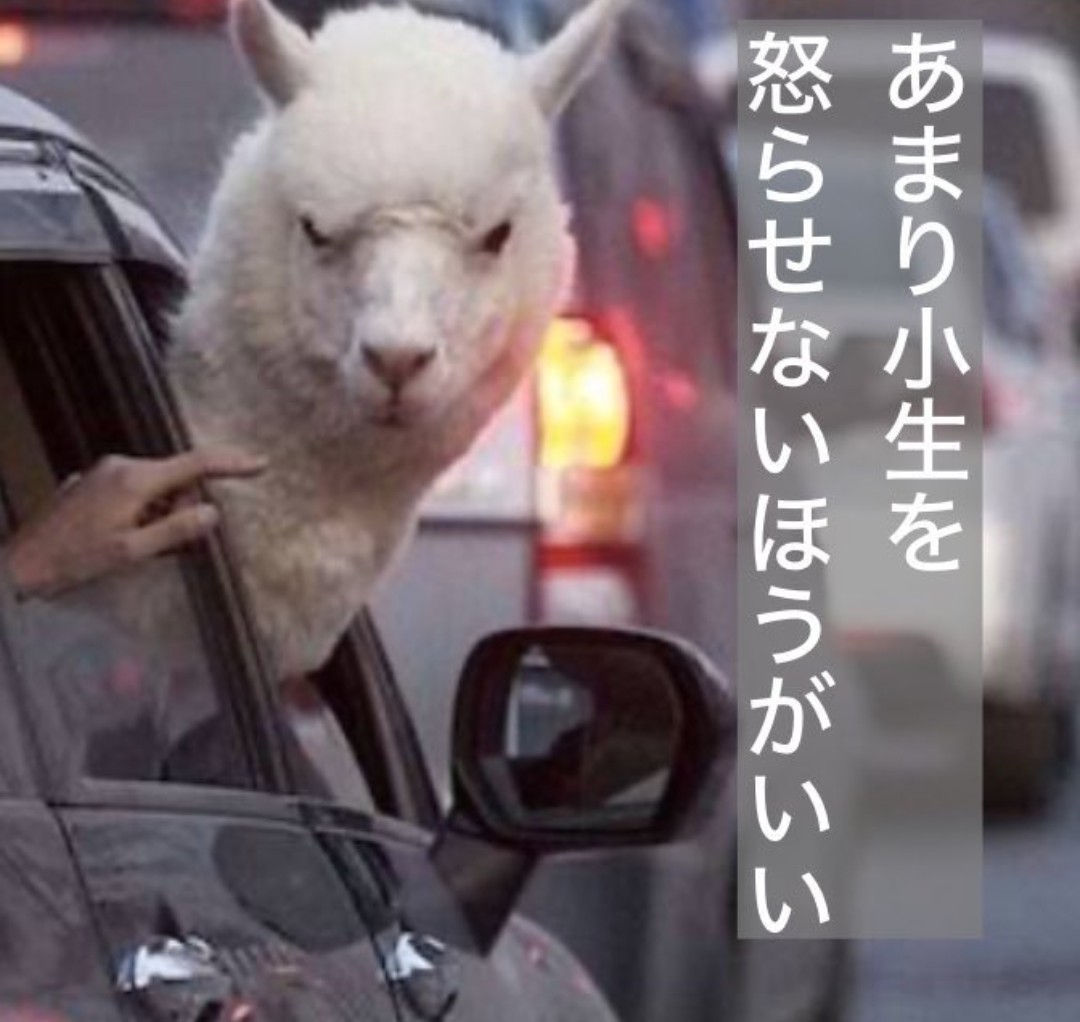 アルパカさん tweet media