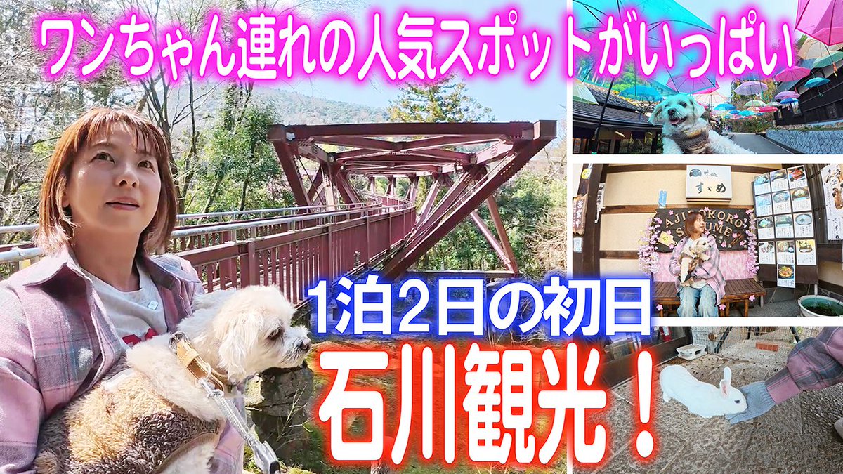 青西高嗣 tweet media