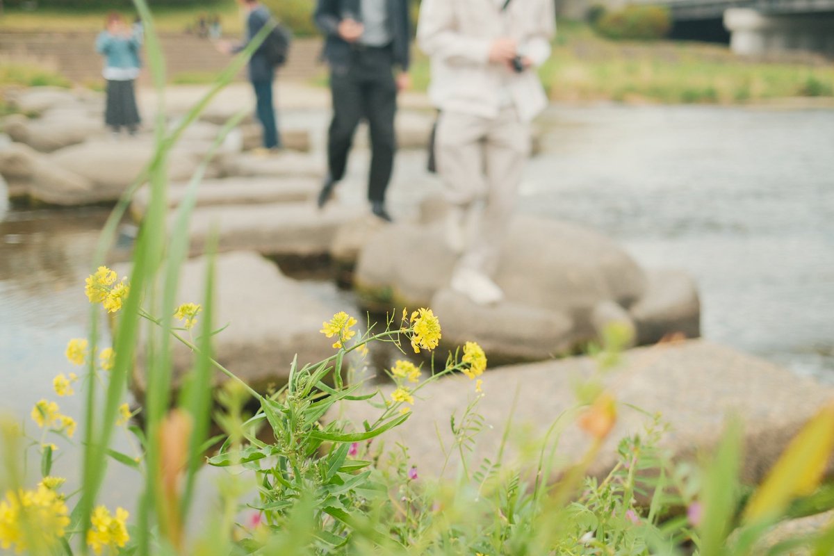 京都大学写真部【新歓】/ Kyoto Univ. Photo Club (newcomers) tweet media
