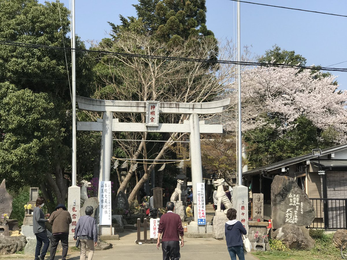 縞ねこ🐈🌻🌻🌻 tweet media