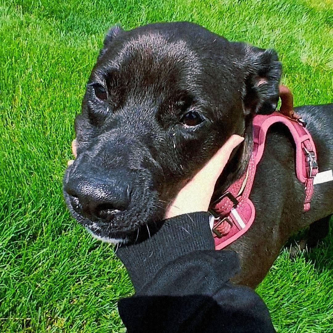 ₊⁘ Arttalia ˖ ⊹ ☼ ᵎ tweet media