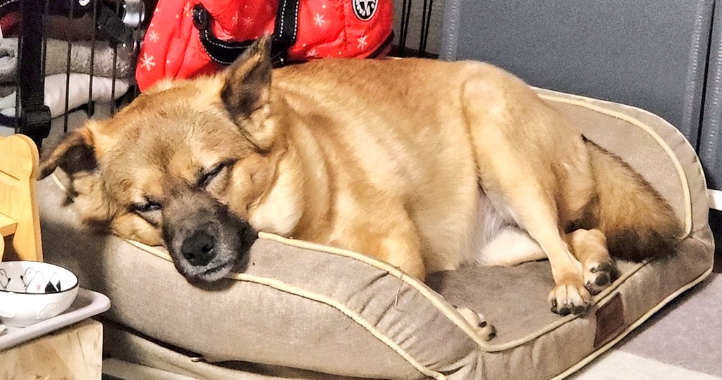 可愛い～😊って撮ったら半目だったね…