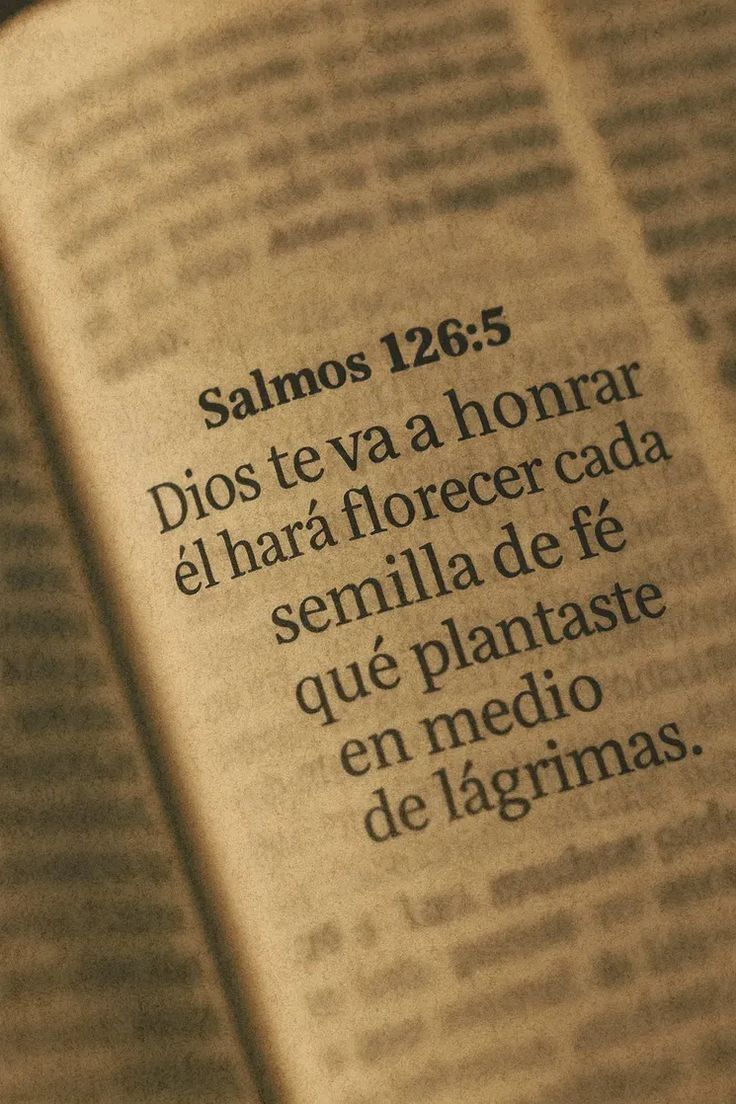 gonzabrizuela96's tweet photo. https://t.co/8Pl2GQ9yMY