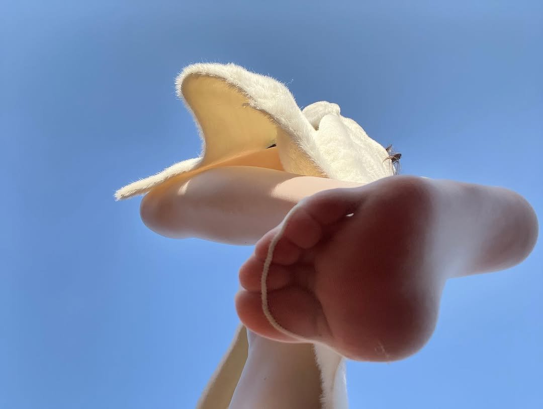 苏老师S 上海女王 上海女S tweet media