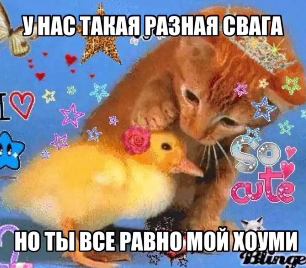 dead_pionerr0 tweet media